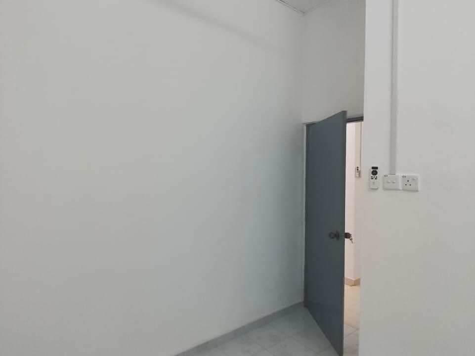 6204194419762729373