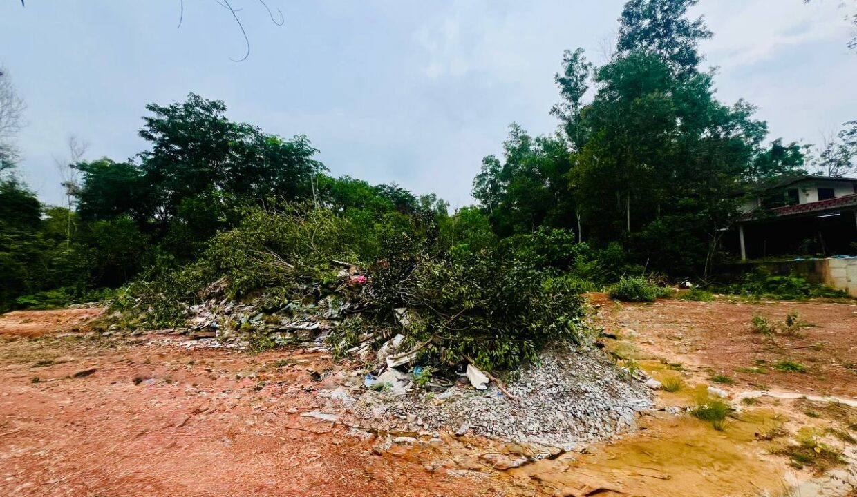 6283073577212908612
